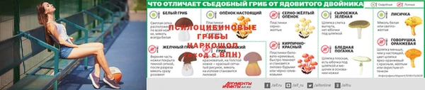 ALPHA-PVP Няндома