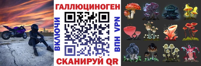 Галлюциногенные грибы прущие грибы  Электроугли 